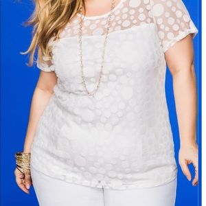 ASHLEY STEWART MESH POLKA DOT